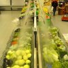 Системы Туманообразования в магазинах